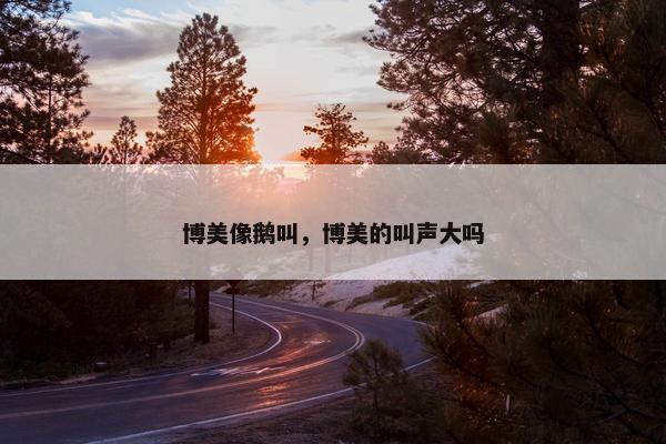 博美像鹅叫，博美的叫声大吗