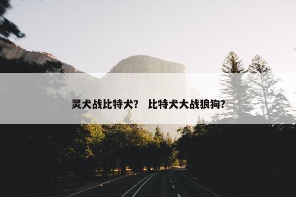 灵犬战比特犬？ 比特犬大战狼狗？