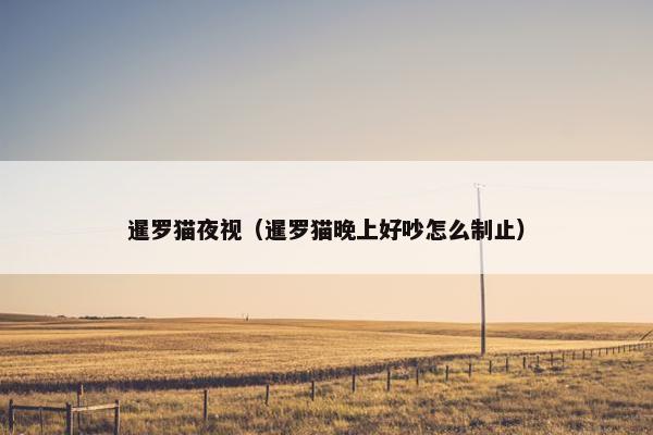 暹罗猫夜视（暹罗猫晚上好吵怎么制止）