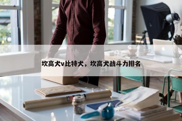坎高犬v比特犬，坎高犬战斗力排名
