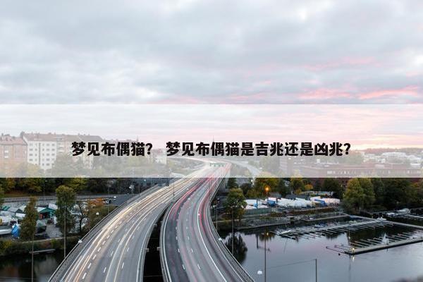 梦见布偶猫？ 梦见布偶猫是吉兆还是凶兆？