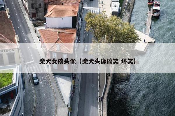 柴犬女孩头像（柴犬头像搞笑 坏笑）