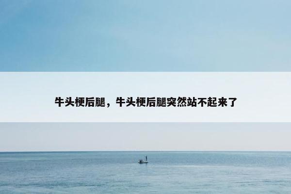 牛头梗后腿，牛头梗后腿突然站不起来了