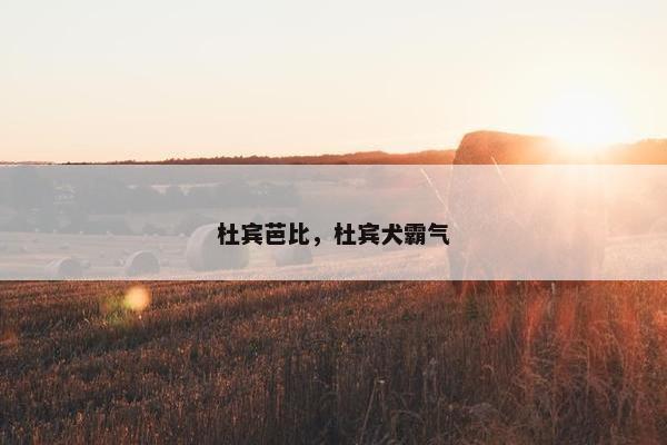 杜宾芭比，杜宾犬霸气