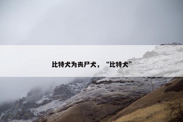 比特犬为丧尸犬，“比特犬”