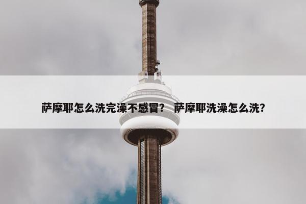 萨摩耶怎么洗完澡不感冒？ 萨摩耶洗澡怎么洗？