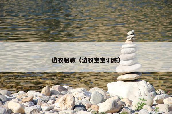 边牧胎教（边牧宝宝训练）