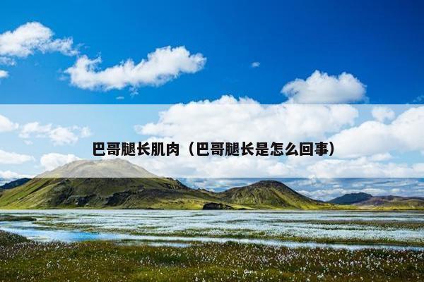 巴哥腿长肌肉（巴哥腿长是怎么回事）