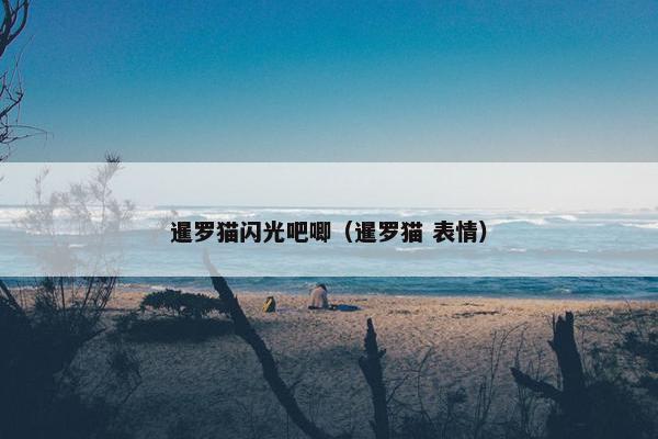 暹罗猫闪光吧唧（暹罗猫 表情）