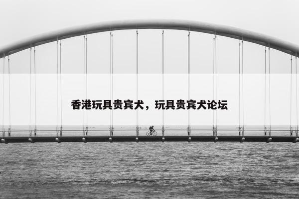 香港玩具贵宾犬，玩具贵宾犬论坛