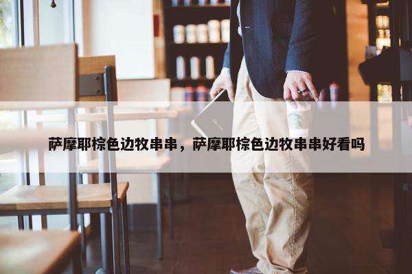 萨摩耶棕色边牧串串，萨摩耶棕色边牧串串好看吗