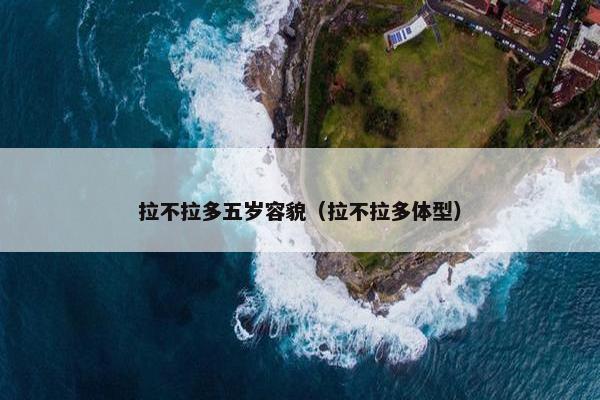拉不拉多五岁容貌（拉不拉多体型）