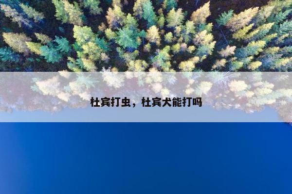 杜宾打虫，杜宾犬能打吗