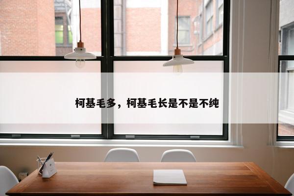 柯基毛多，柯基毛长是不是不纯