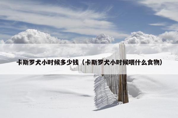 卡斯罗犬小时候多少钱（卡斯罗犬小时候喂什么食物）