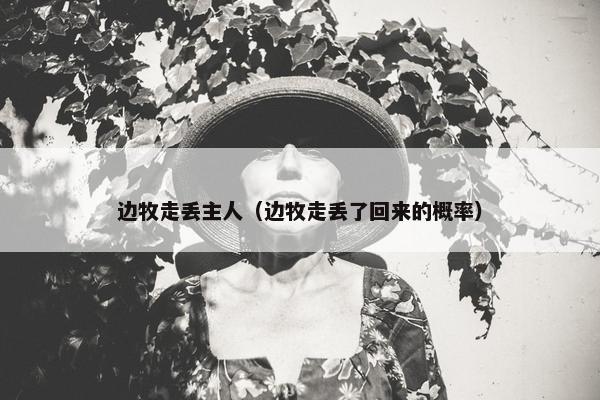 边牧走丢主人（边牧走丢了回来的概率）