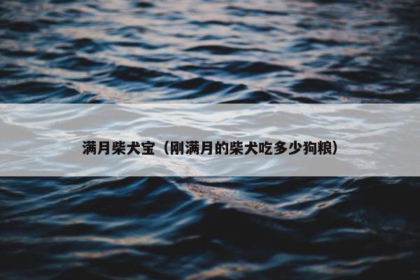满月柴犬宝（刚满月的柴犬吃多少狗粮）
