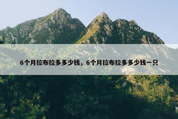 6个月拉布拉多多少钱，6个月拉布拉多多少钱一只