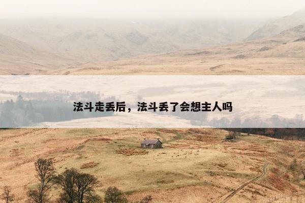 法斗走丢后，法斗丢了会想主人吗