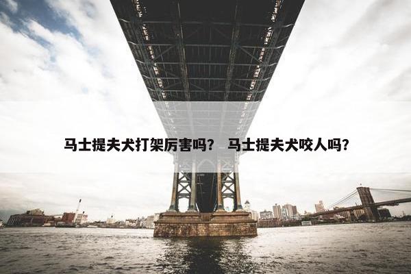 马士提夫犬打架厉害吗？ 马士提夫犬咬人吗？