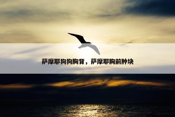 萨摩耶狗狗胸背，萨摩耶胸前肿块