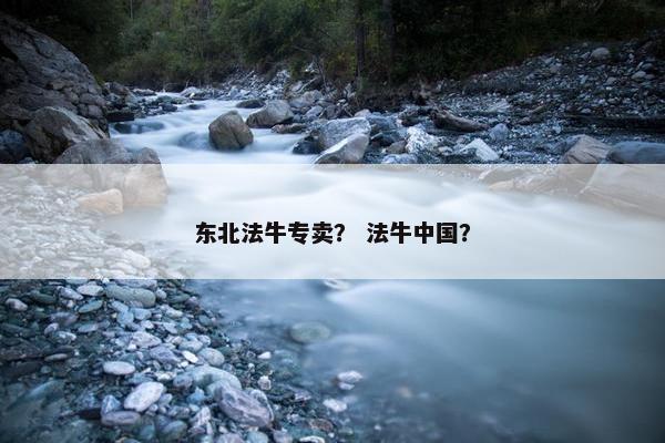 东北法牛专卖？ 法牛中国？