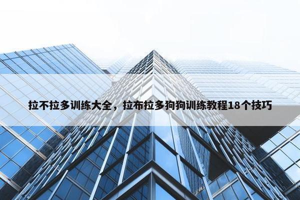 拉不拉多训练大全，拉布拉多狗狗训练教程18个技巧