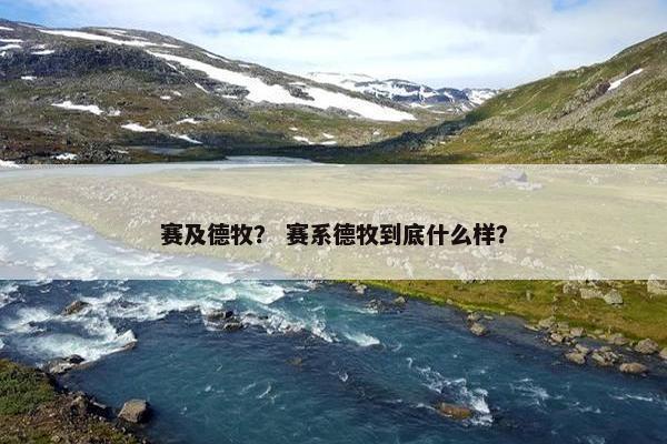 赛及德牧？ 赛系德牧到底什么样？