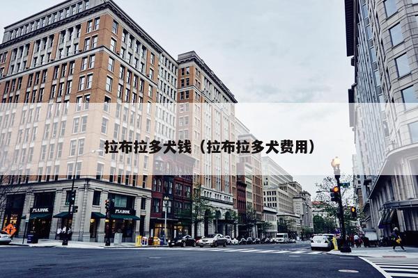 拉布拉多犬钱（拉布拉多犬费用）
