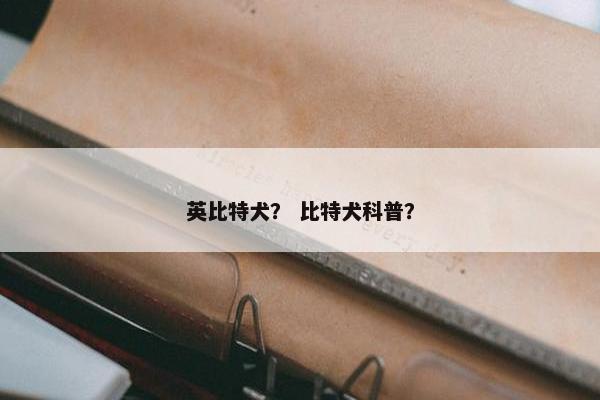 英比特犬？ 比特犬科普？