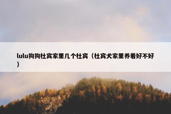 lulu狗狗杜宾家里几个杜宾（杜宾犬家里养着好不好）