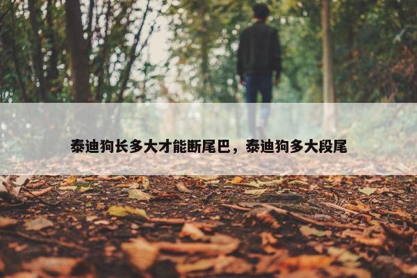 泰迪狗长多大才能断尾巴，泰迪狗多大段尾