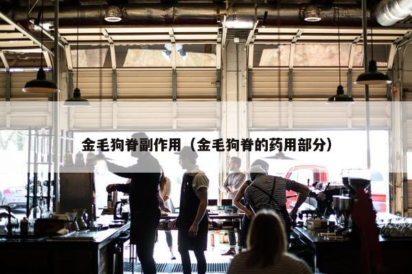 金毛狗脊副作用（金毛狗脊的药用部分）