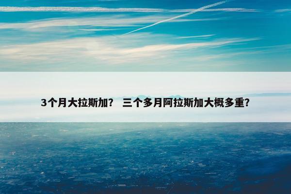 3个月大拉斯加？ 三个多月阿拉斯加大概多重？