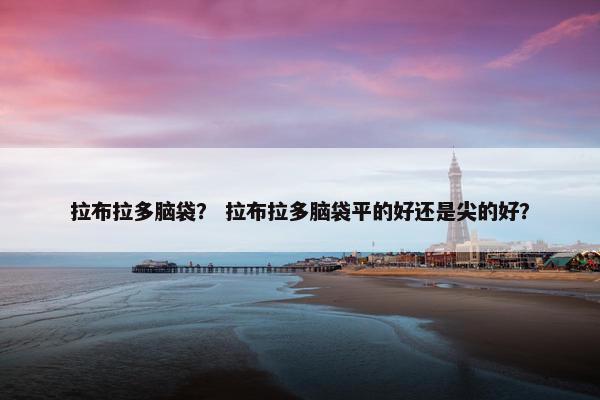 拉布拉多脑袋？ 拉布拉多脑袋平的好还是尖的好？