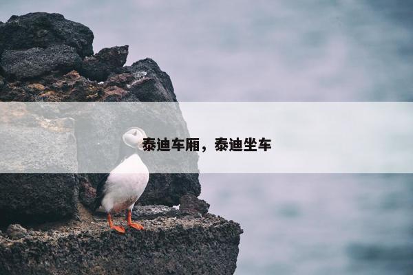 泰迪车厢，泰迪坐车
