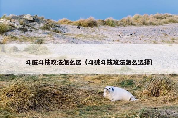 斗破斗技攻法怎么选（斗破斗技攻法怎么选择）