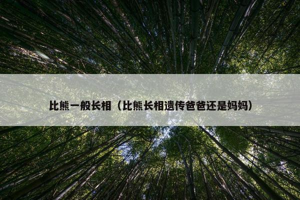 比熊一般长相（比熊长相遗传爸爸还是妈妈）