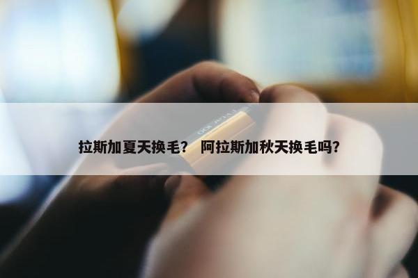 拉斯加夏天换毛？ 阿拉斯加秋天换毛吗？