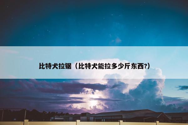 比特犬拉锯（比特犬能拉多少斤东西?）