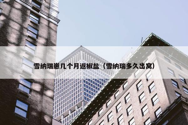 雪纳瑞崽几个月返椒盐（雪纳瑞多久出窝）