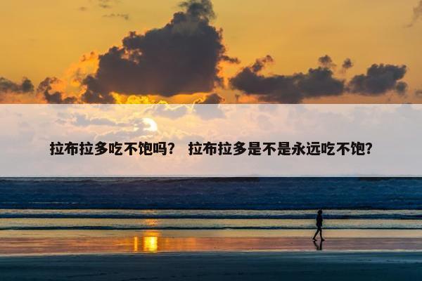 拉布拉多吃不饱吗？ 拉布拉多是不是永远吃不饱？