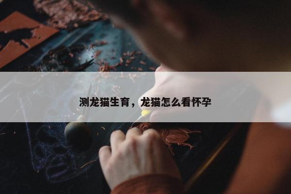 测龙猫生育，龙猫怎么看怀孕