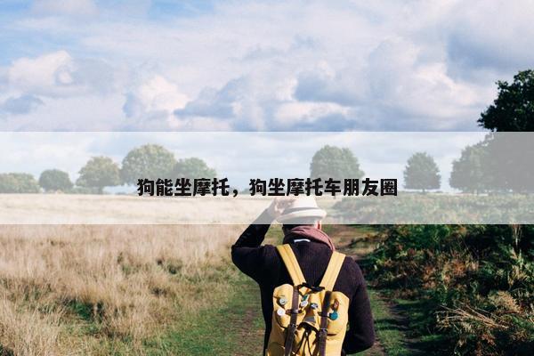 狗能坐摩托，狗坐摩托车朋友圈