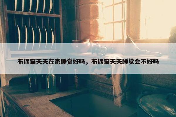 布偶猫天天在家睡觉好吗，布偶猫天天睡觉会不好吗