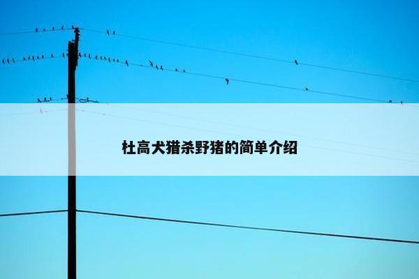 杜高犬猎杀野猪的简单介绍