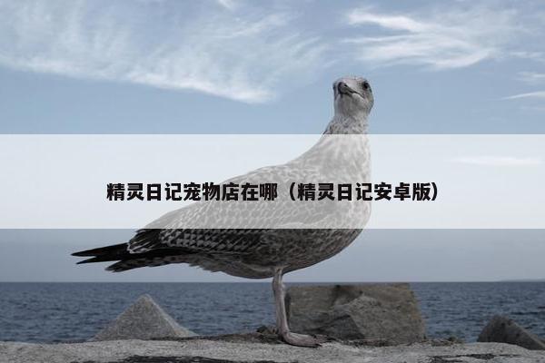 精灵日记宠物店在哪（精灵日记安卓版）