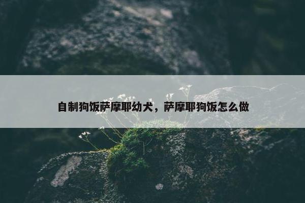自制狗饭萨摩耶幼犬，萨摩耶狗饭怎么做