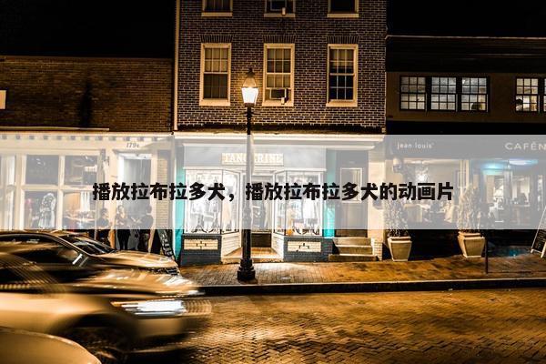 播放拉布拉多犬，播放拉布拉多犬的动画片