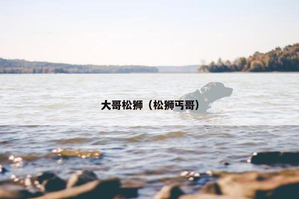大哥松狮（松狮丐哥）